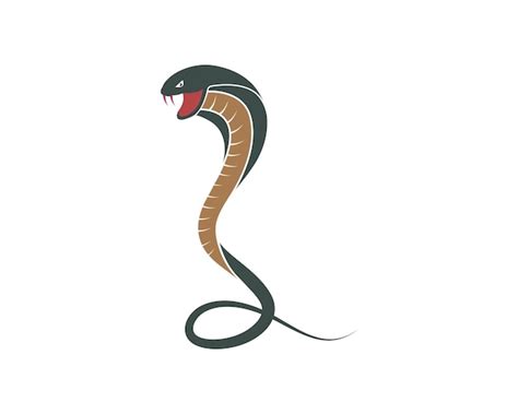 Premium Vector Cobra Snake Vector Illustration Icon