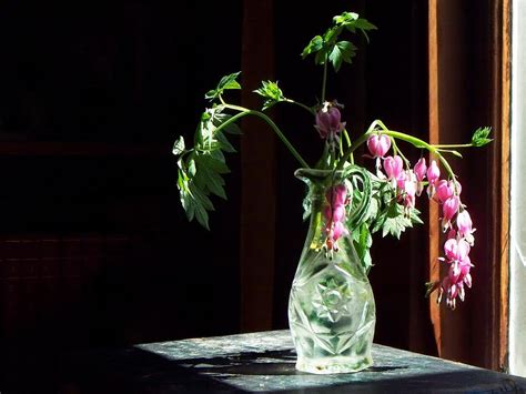 Maybe you would like to learn more about one of these? Bleeding Heart Bouquet Photograph by Joy Nichols