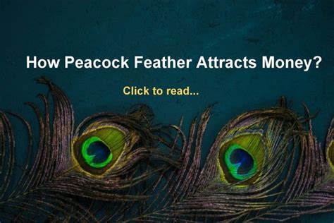 Peacock Feather Meaning - Benefits and Dangers - lifeinvedas | Peacock feather meaning, Feather ...