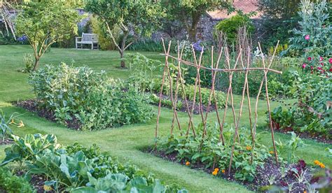 See more ideas about plants, garden, kitchen garden. How to Plan a Vegetable Garden Layout | Kitchen Garden Layout