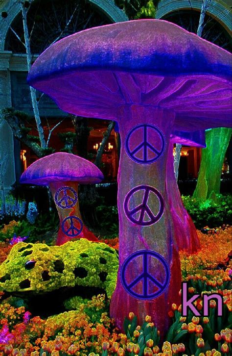 313 Best Psychedelic Shroom Room Images On Pinterest Fungi