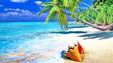 imágene experience 30 fotos de playas tropicales con agua cristalina sol palmeras y arenas