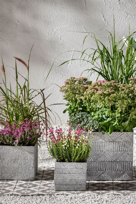 Tipps zur gestaltung von balkon und garten, mit ratgeber für hobbygärtner zu blumen, pflanzen, gartenmöbeln und deko. Pin auf Pflanzen für Garten und Balkon
