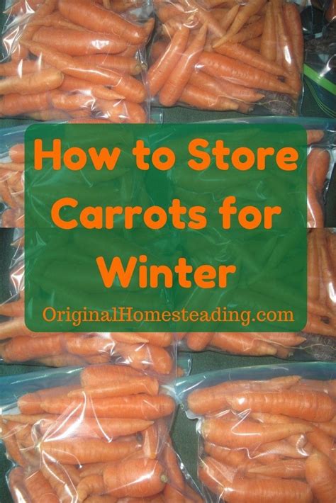 How To Store Carrots For Winter In Your Refrigerator How To Store
