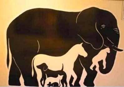 Though many people think that camels only live in hot climates, they do well in temperature ranges from 20. Finding Hidden Faces in the Given Pictures Brain Teasers