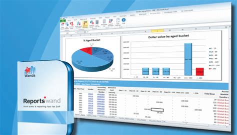 Run Your Sap T Codes In Real Time And Directly From Excel With Reports Wand