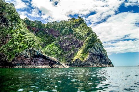 Pest animal and ecological weed control. Predator free islands may support the halt of biodiversity ...