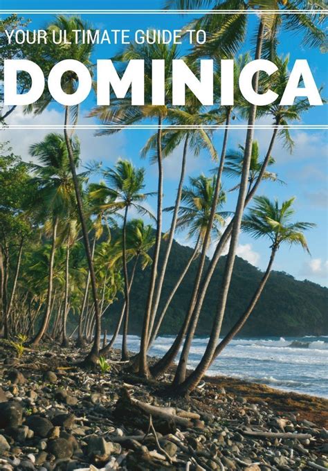 the ultimate guide to dominica the caribbean s nature island jetsetter artofit