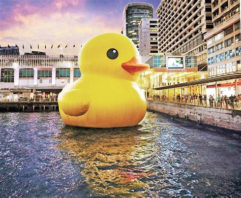 在 iphone、ipad 和 ipod touch 上下载澳門科學館，尽享 app 丰富功能。 「msc ar是一個由澳門科學館開發的擴增實境智能手機程式，以虛擬影像傳遞資訊並主要用於科普教育的推廣及展品解說。」 大黃鴨今日抵澳 科學館旁現真身 - 澳門力報官網