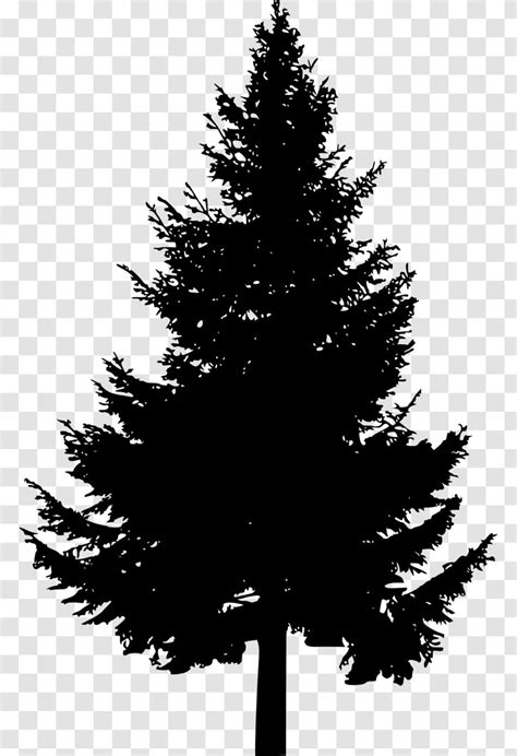 Pine Tree Conifers Clip Art Black And White Arbol Transparent Png