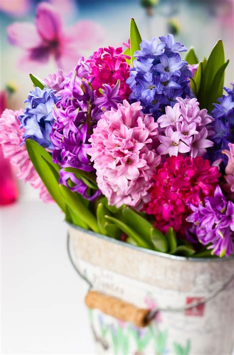 What flowers bloom in spring? Wedding Flowers by Season: Fall, Summer, Winter, Spring ...
