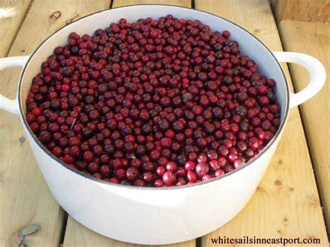 Partridge Berries Newfoundland Recipes Newfoundland Homemade Jam