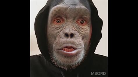 Epic Monkey Rescue Msqrd Youtube