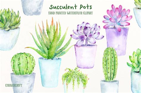Watercolor Clipart Succulent Pots Hand Painted Watercolor Succulent