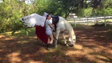 5 mario caught on camera & spotted in real life! 5 Unicorns Caught On Camera ♦️ Real Life Unicorns by |All ...