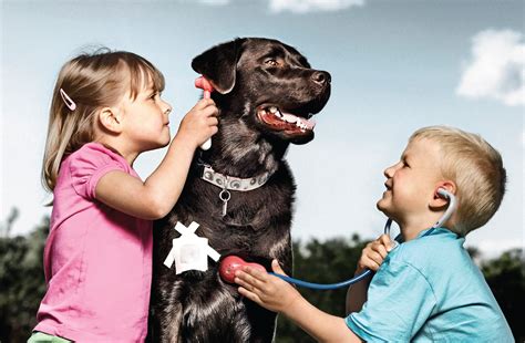 Pet Care - Woodruff