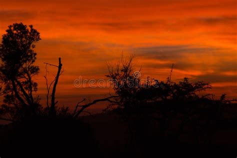 Red African Morning Sunrise Stock Image Image Of Orange African