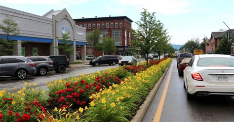 City Looks To Expand Walkable Olean Gardens To East State In 2023