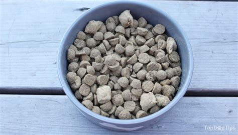 Chewy is an online pet supply retailer that offers a wide variety of foods, treats, supplies, and medicines. Stella & Chewy's Raw Blend Dog Food Review 2018 (video ...