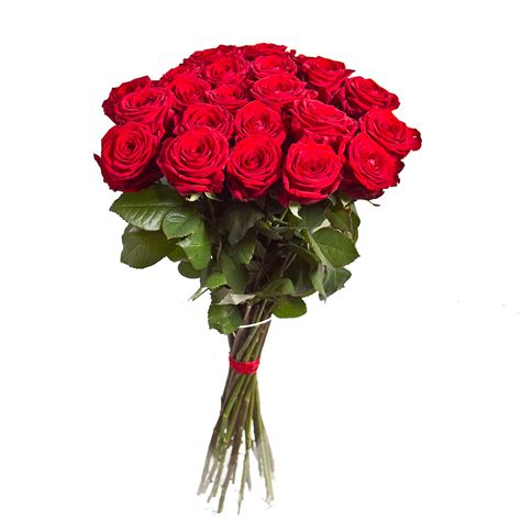 Rose Flower Png Flower Bouquet Png Hd Flowers Red Rose Bouquet