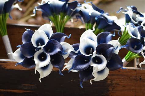 Navy Blue Picasso Calla Lilies Bridesmaids Bouquets Real Touch Etsy