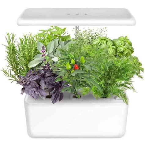 The Best Indoor Herb Garden Kits Indoor Gardening