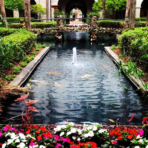 Flowers by shirley only carries the highest quality flowers which are shipped directly to us from select farms around the world. Lightner Museum koi pond Saint Augustine, Florida. Photo ...