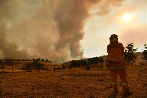 Australia Fires New South Wales Blazes All ‘contained