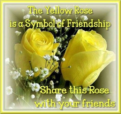 Love In My Heart For You Friendship Rose Friendship Symbols
