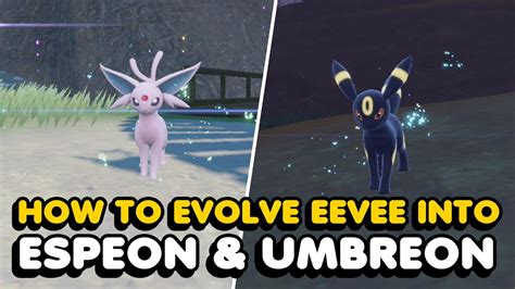 How To Evolve Eevee Into Umbreon And Espeon In Pokemon Scarlet And Violet