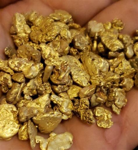 Raw Gold 1 Alltheweb Buy And Sell For Free Anywhere In South Africa