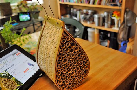 Once the bee colony moves in the honey bees immediately start to build the wax comb to fill with nectar that later. Mason Bee House | RainyDayMagazine