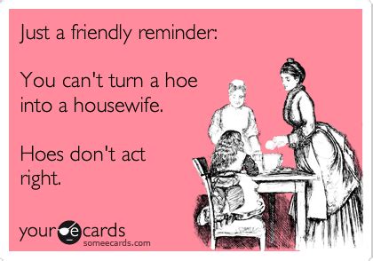 Just A Friendly Reminder You Can T Turn A Hoe Into A Housewife Hoes