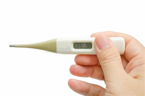 Hand Holding Electronic Thermometer Stock Photo Image Of Accuracy