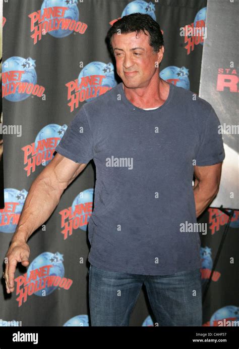 Jan 17 2008 New York Ny Usa Actor Sylvester Stallone Promotes