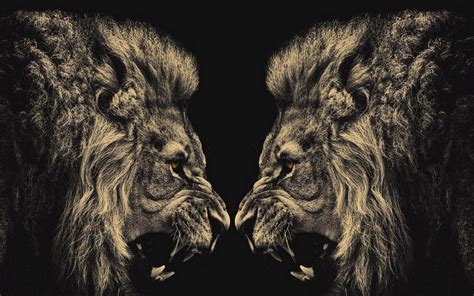 Dark Lion Wallpapers Top Free Dark Lion Backgrounds Wallpaperaccess