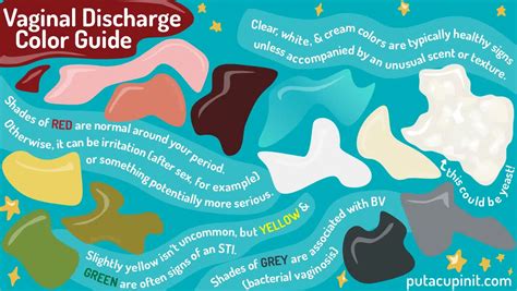 Vaginal Discharge An Illustrated Guide To What S Normal What S Not