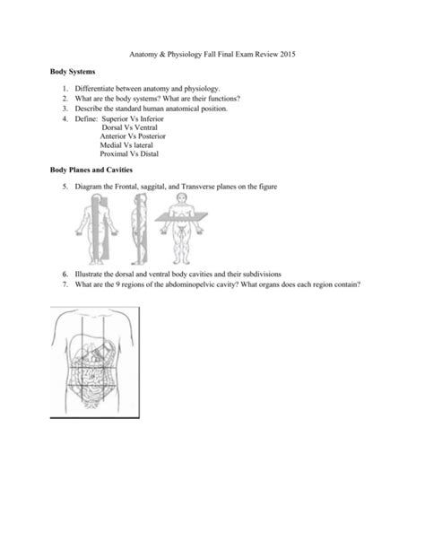 Anatomy And Physiology Fall Final Exam Review 2015 Body Systems