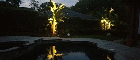 Diy Vs Professional Landscape Lighting Installation Costs And