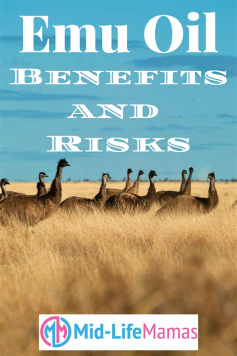 When used for hair care, emu oil is said to increase fullness, add shine, control dandruff, eliminate split ends, and prevent hair loss. Emu Oil: Benefits and Risks in 2020 (With images) | Emu oil