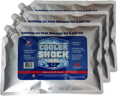 Extra Large Ice Packs For Coolers Long Lasting Gets Cold And Stays