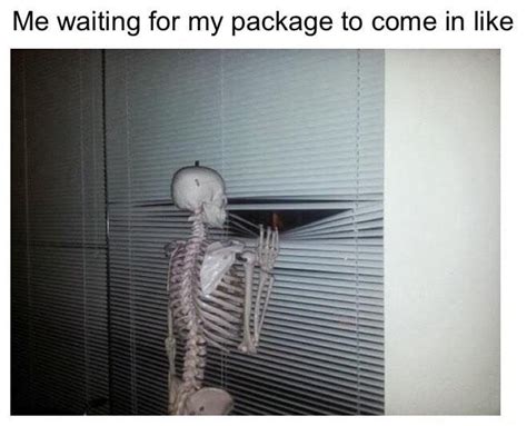 Waiting For A Package Meme