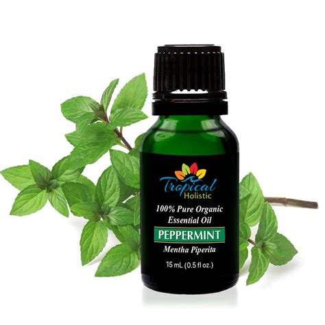 Peppermint Organic Essential Oil 15ml 1 2 Oz 100 Pure And Undiluted Tropical Holistic