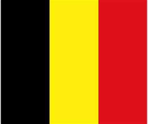 A black lion with red claws and tongue against a yellow background. Flagz Group Limited - Flags Belgium - Flag - Flagz Group Limited - Flags