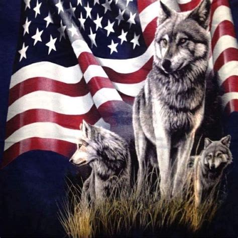 Pin By Maureen Longton On America Wolf Spirit Animal Pet Monkey Flag