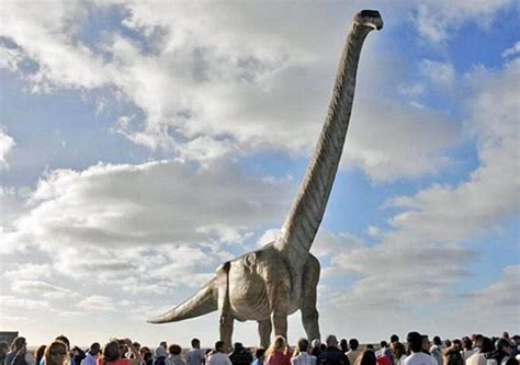Scientists Finally Give The Biggest Dinosaur That Ever Lived A Name Bgr