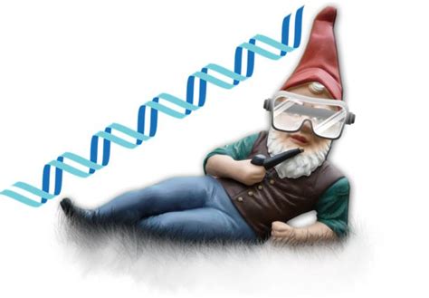 Billions Accidentally Poured Into Human Gnome Project The Stanford Daily