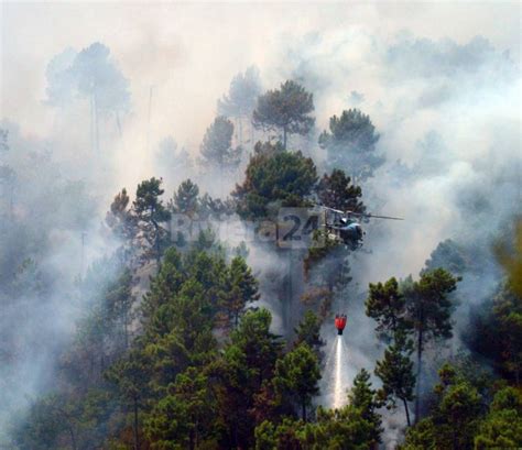 Brucia Il Bosco Tra Gouta E Muratore Volontari Pompieri Ed Elicottero