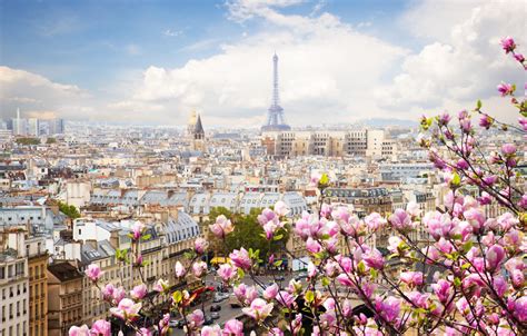 Wallpaper France Paris Spring Images For Desktop Section город