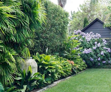 25 New Tropical Garden Design Everything You Need To Know